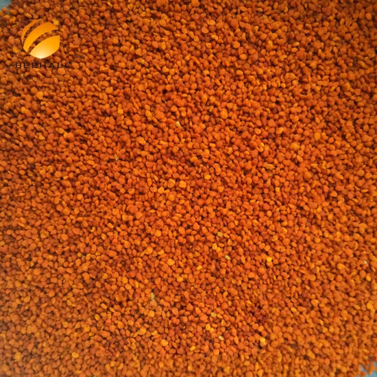 Venda imperdível da fábrica de alimentos orgânicos Beehall melhora a imunidade chá pólen de abelha