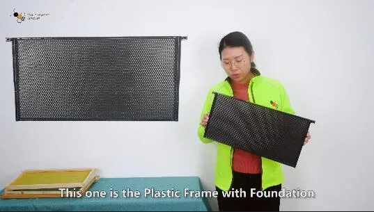 Ferramentas de apicultura cabem 10 e 8 molduras para apicultura colméia molduras de abelha de plástico com alta qualidade