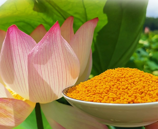 Beehall Health Products Manufacturer Organic Food Raw Lotus Bee Pollen