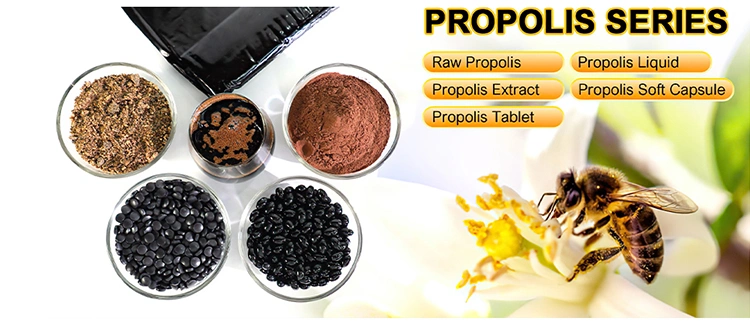 Bee Products Supplier Nop EOS Certificates Wholesale Propolis